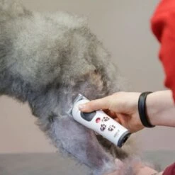 Aesculap Aesculap Akkurata Cordless Trimmer -Groomers Online aesculap akkurata cordless trimmer p10316 14414 medium