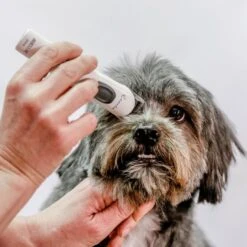 Aesculap Aesculap Exacta Cordless Trimmer -Groomers Online aesculap exacta cordless trimmer p35 14419 medium