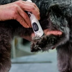 Aesculap Aesculap Exacta Cordless Trimmer -Groomers Online aesculap exacta cordless trimmer p35 14420 medium