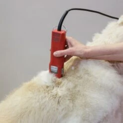 Aesculap Aesculap Favorita Speed Corded Clipper -Groomers Online aesculap favorita speed corded clipper p3268 12782 medium