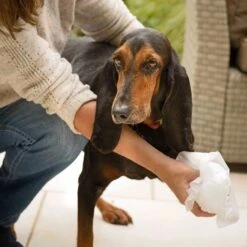 Aqueos Aqueos Disinfectant Wipes -Groomers Online aqueos disinfectant wipes p1179 14369 medium