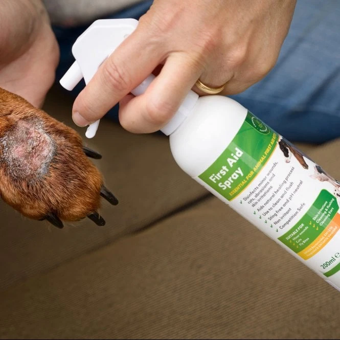 Aqueos Aqueos First Aid Spray 200ml 2 Aqueos Aqueos First Aid Spray 200ml - Image 2