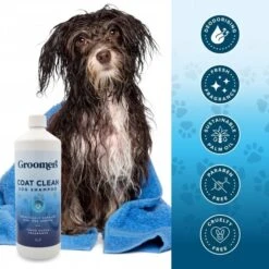 Groomers Coat Care Coat Clean Shampoo 1L -Groomers Online groomers coat care coat clean shampoo 1l p17811 14253 medium