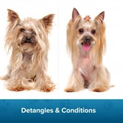 Groomers Coat Care Coat Management Spray Refill 1L 13 Groomers Coat Care Coat Management Spray Refill 1L -Groomers Online groomers coat care coat management spray refill 1l p17807 14176 medium