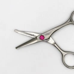 Groomers Ophelia Groomers Ophelia 4.5" Bull Nose Scissors 9 Groomers Ophelia Groomers Ophelia 4.5" Bull Nose Scissors -Groomers Online groomers ophelia 45 bull nose scissors p17329 11355 medium