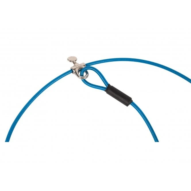 Groom-X Groom-X Bath Choker (Suction Cup And Restraint Lead) 3 Groom-X Groom-X Bath Choker (Suction Cup And Restraint Lead) - Image 3