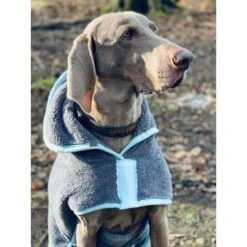 Henry Wag Henry Wag Drying Coat