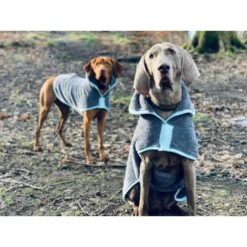 Henry Wag Henry Wag Drying Coat -Groomers Online henry wag drying coat p15568 9896 medium