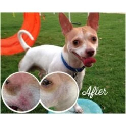 Natural Dog Company Skin Soother -Groomers Online natural dog company skin soother p2674 3771 medium