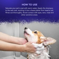 Wahl Wahl Diamond White Shampoo 11 Wahl Wahl Diamond White Shampoo -Groomers Online wahl diamond white shampoo p3796 13463 medium