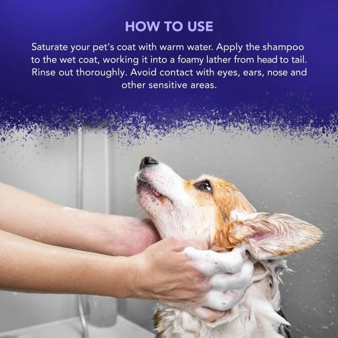 Wahl Wahl Diamond White Shampoo 5 Wahl Wahl Diamond White Shampoo - Image 5